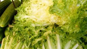 foto van kroppen frisee sla